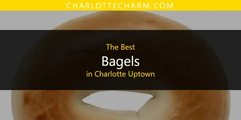 The Absolute Best Bagels in Charlotte Uptown