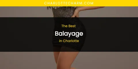 The Absolute Best Balayage in Charlotte