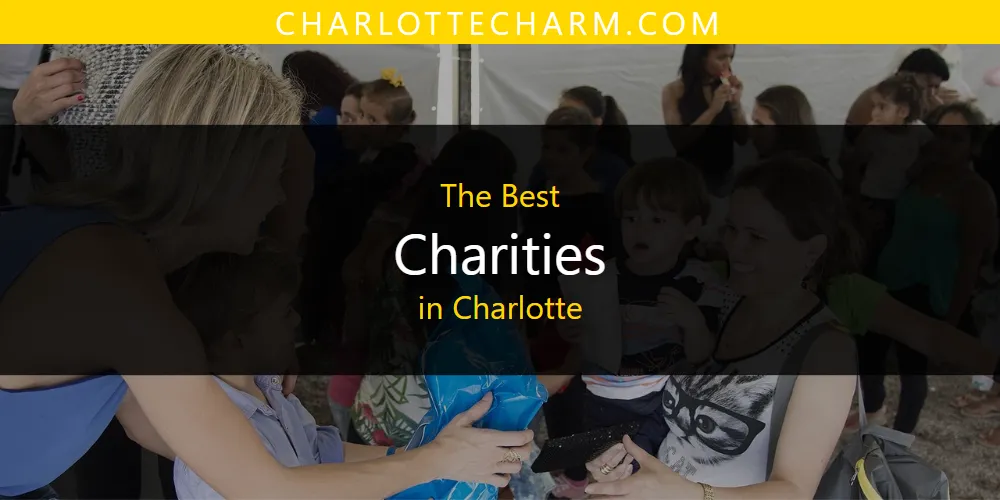 2026 Ranked: Best Charities in Charlotte