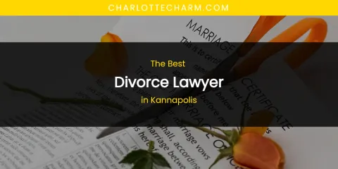 Kannapolis' Best Divorce Lawyer