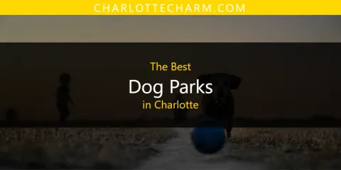 The Best Dog Parks in Charlotte