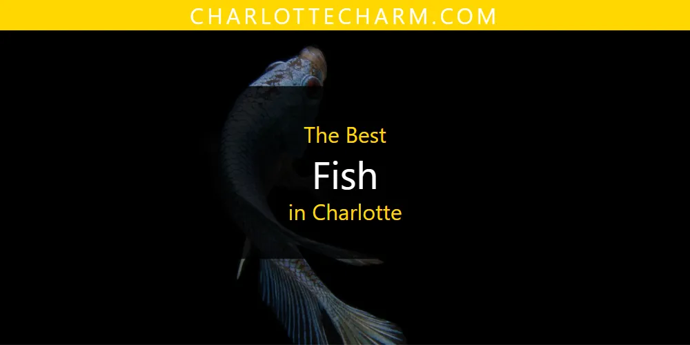 The Absolute Best Fish in Charlotte  [Updated 2025]
