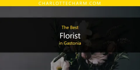 Discover the Best Florist in Gastonia