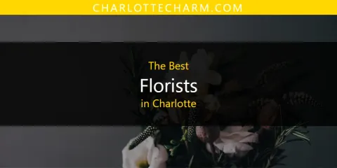Best Florists in Charlotte: Our Expert Picks