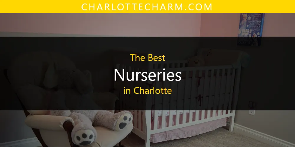 The 2026 Best Nurseries in Charlotte List