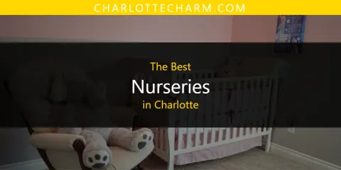 The Best Nurseries in Charlotte List