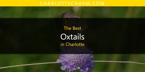 The Best Oxtails in Charlotte List