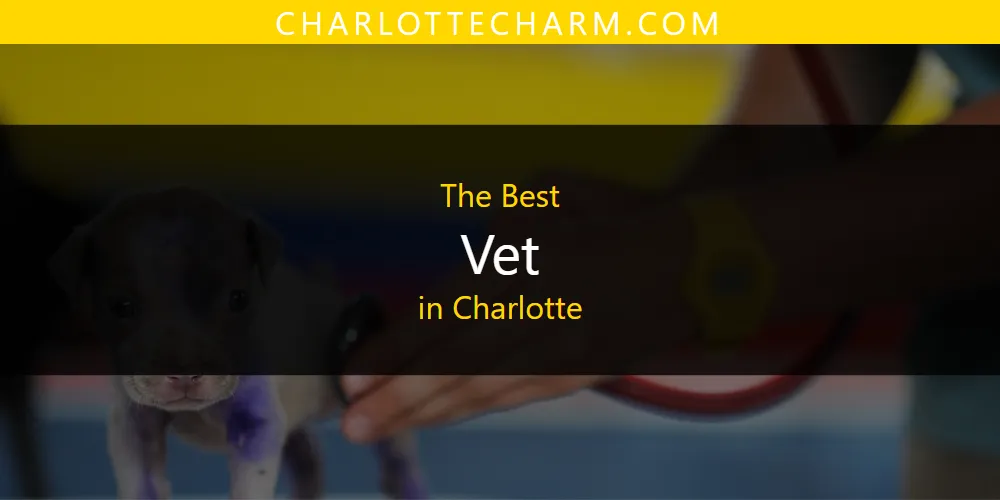 The Absolute Best Vet in Charlotte  [Updated 2025]