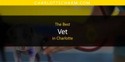 Best Vet in Charlotte: Ultimate Guide