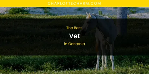 The Absolute Best Vet in Gastonia