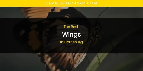 The Absolute Best Wings in Harrisburg