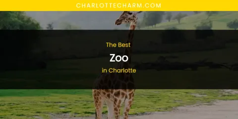 The Absolute Best Zoo in Charlotte